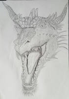 Dragon Head