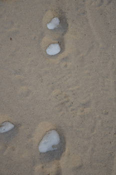 Footsteps