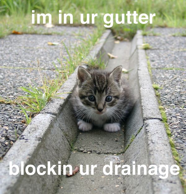I AM IN YOUR GUTTER