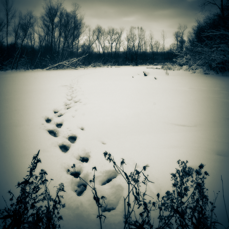 crossing unmarked snow