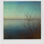 matins, polaroid