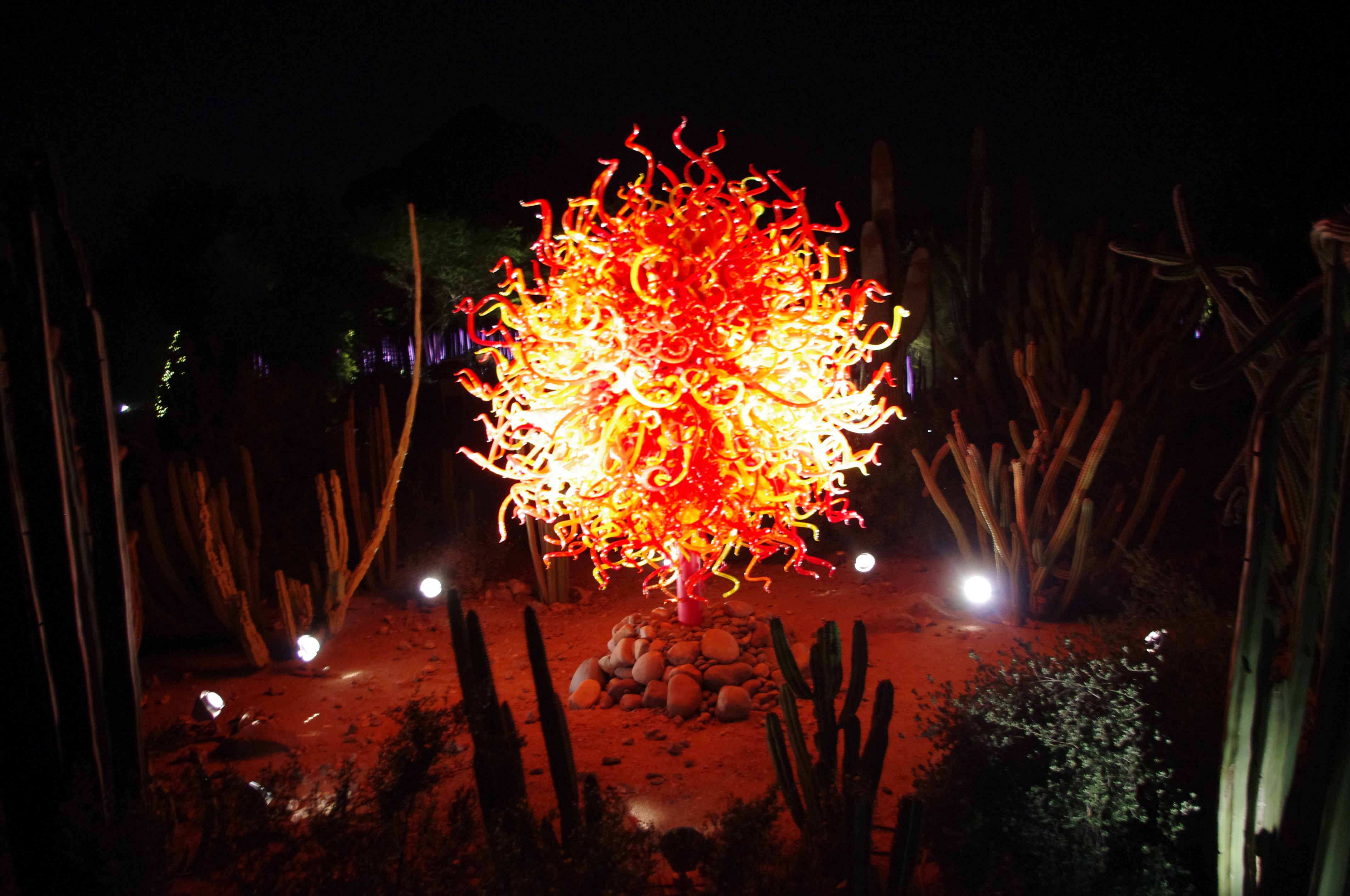 Chihuly in the Desert- Summer Sun (2010) at night