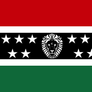 Federation of African Nations Flag (New)