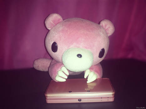 Gloomy bear