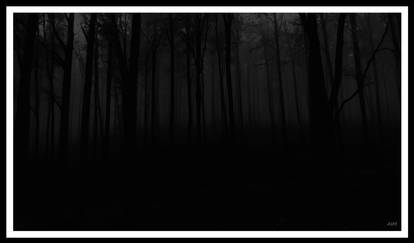 Dark forest