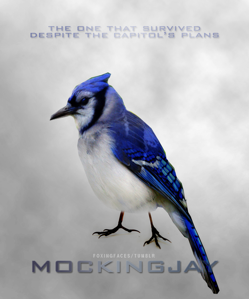 Mockingjay