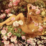 In The Roses