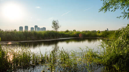 Delta in Bucharest - Lacul Vacaresti