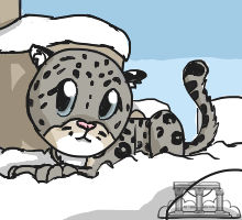 Request - Snow Leopard