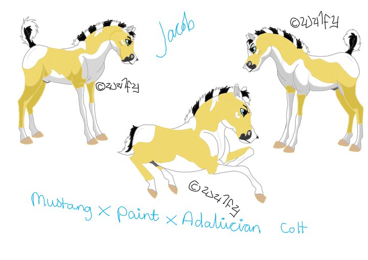 Design A Foal Contest