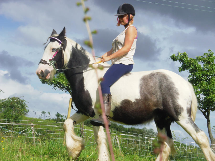 Riding the Blue Eyed Gypsy Vanner