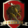 Swann FC Commission