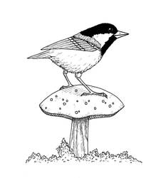 Small Bird and a Mushroom