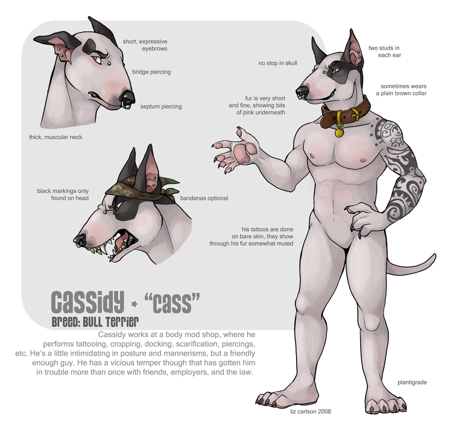 New Character - Cass Ref Sheet