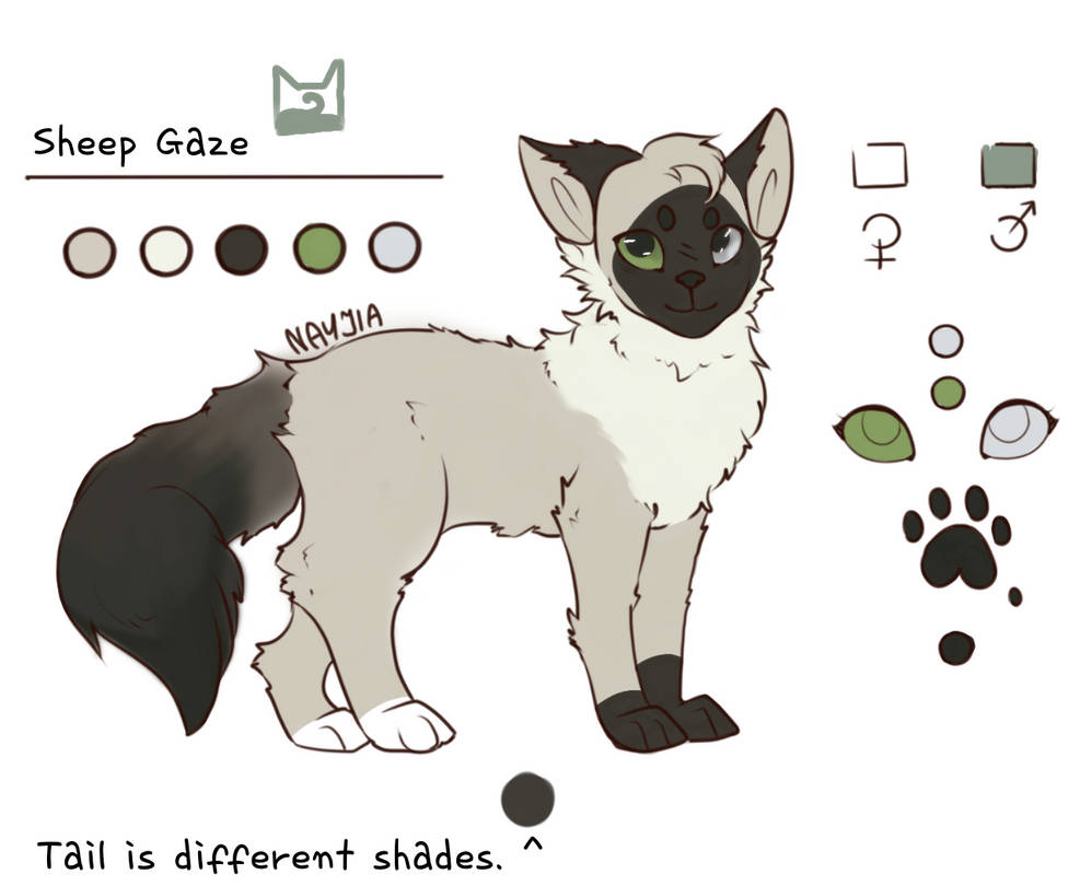 cat ref sheet base F2U by ny4nay on DeviantArt