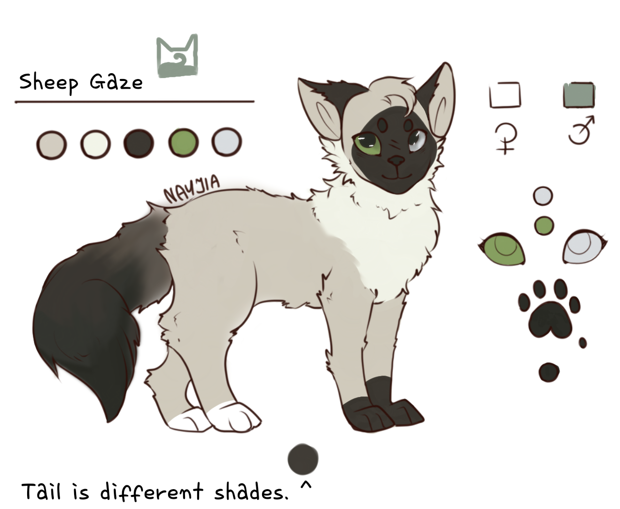 Feline Ref Base cat ref sheet base F2U by ny4nay on DeviantArt