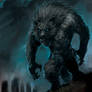Night Werewolf