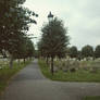 Walking through an old cemetery.