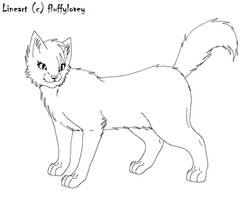 Free Cat Lineart -female-