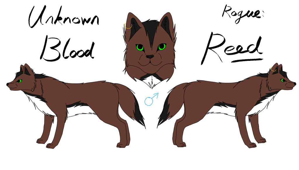 Unknown Blood - Reed Reference by fluffylovey on DeviantArt