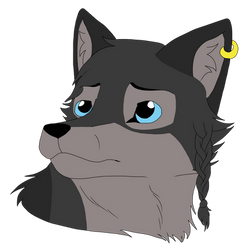 Wasco Wind Headshot Commission