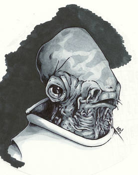 Admiral Ackbar Greys