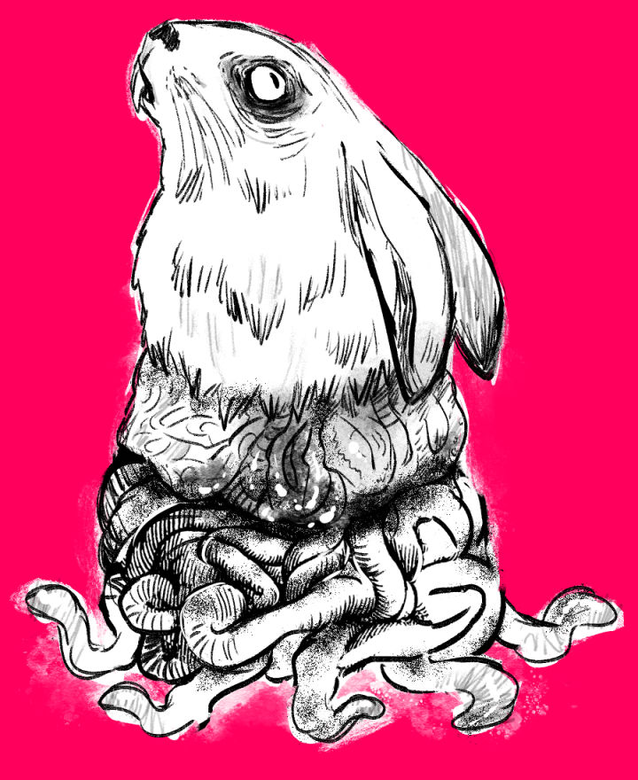 rabbit by TheJaggedOne on DeviantArt