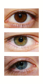 Eye Triptych