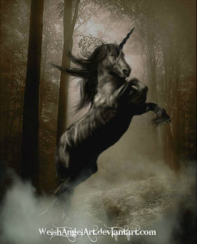 *the black unicorn*