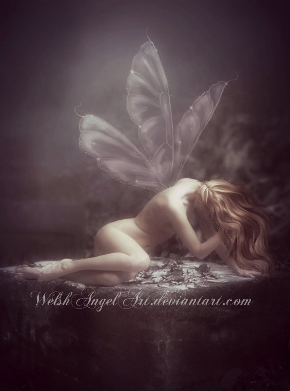 *lost fairy*