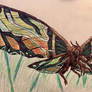 Mothra (Imago) (Legendary Style)