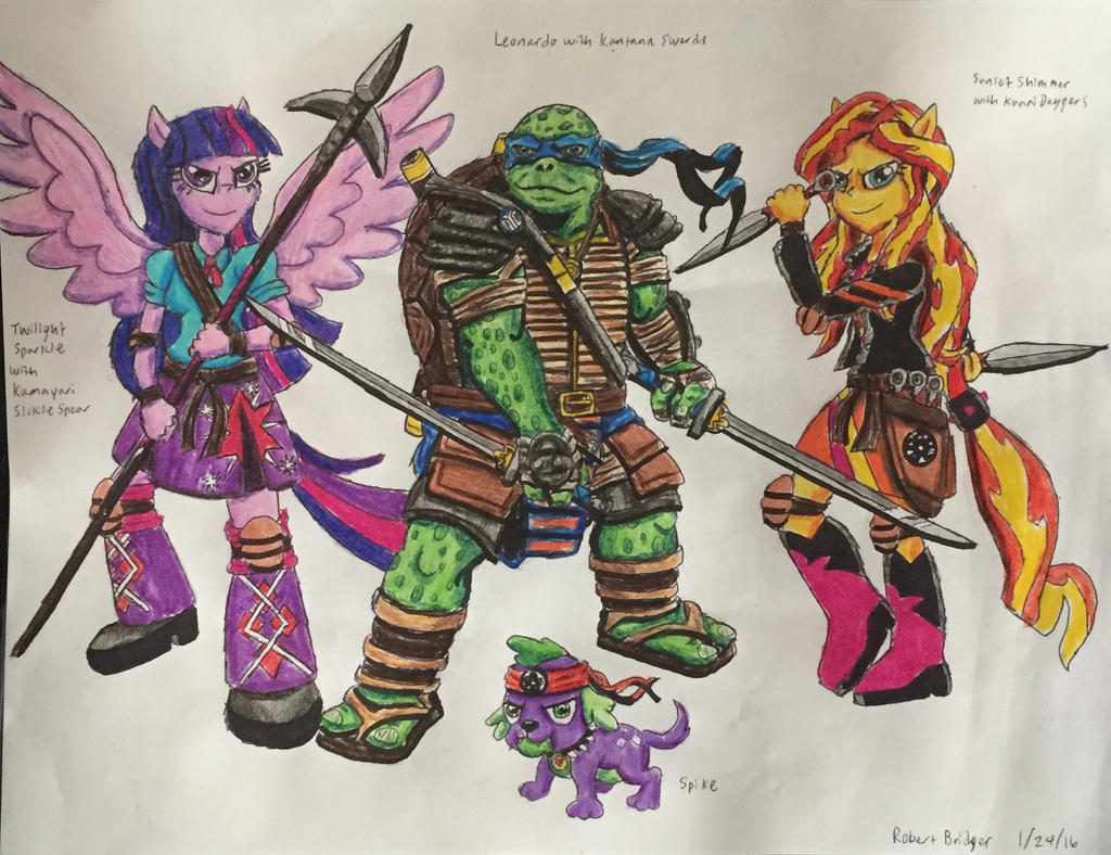 TMNT And MLPEG Fighting Stance by BozzerKazooers on DeviantArt