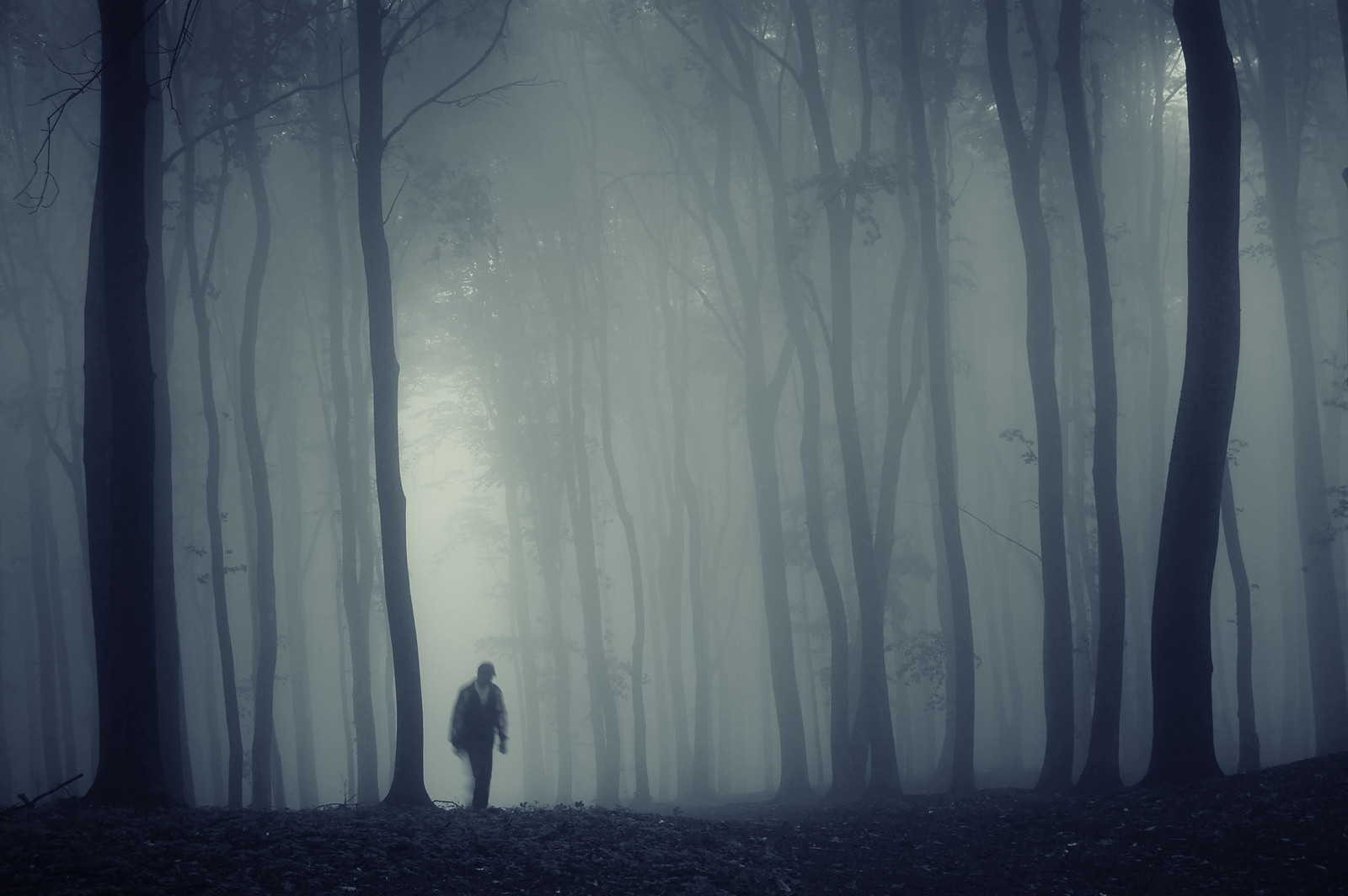 Man in a dark forest with fog