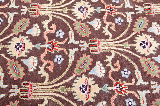 Hand Tufted Modern Brown floral Rug