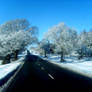 Driving Home For Christmas