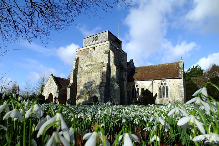 St. George's 'Carpet of Flowers'