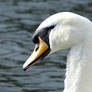 Guardian Of The Lake