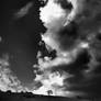 Plume of Cloud