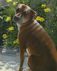 Dog Painting - Blackberry Girl