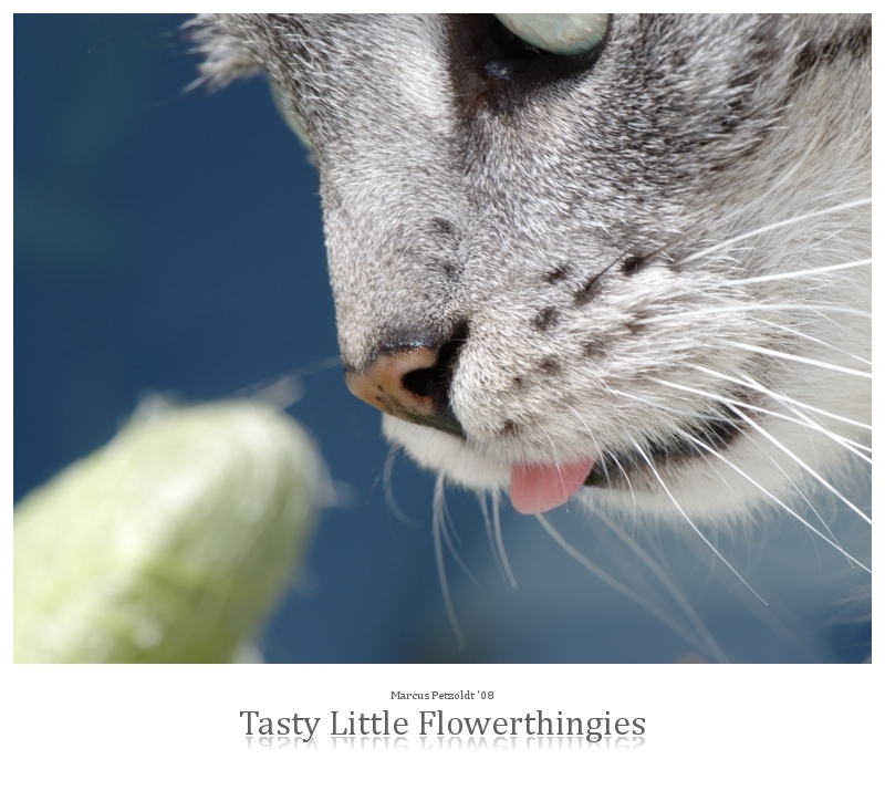 Tasty Little Flowerthingies