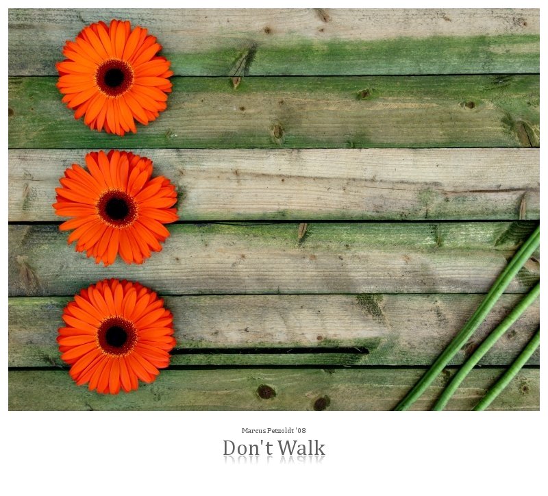 Don't Walk