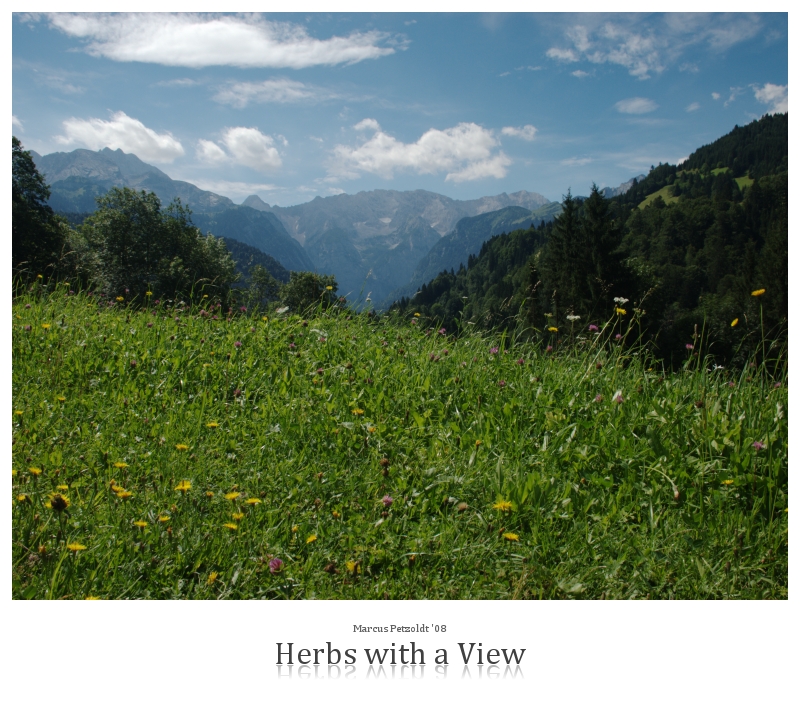 Herbs with a View