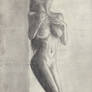 .Naked Women Body Study. Scan