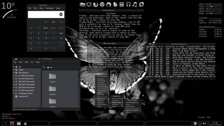 Crunchbang Linux/Fluxbox