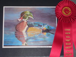 Duck Stamp painting