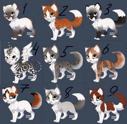 Cat Adoptable [ OPEN ] 5 points.