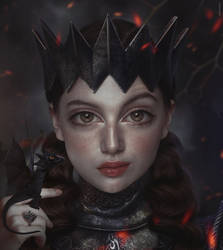 The Queen of War by Shennikin