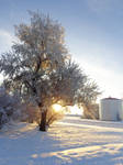 Start of winter. by NinjaTanner