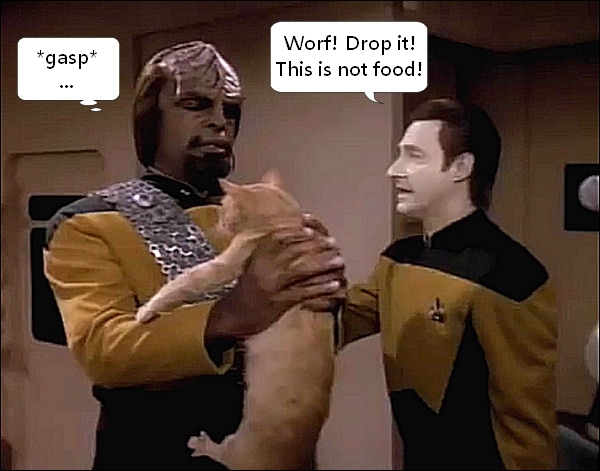 Drop it Worf