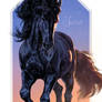 Spirit